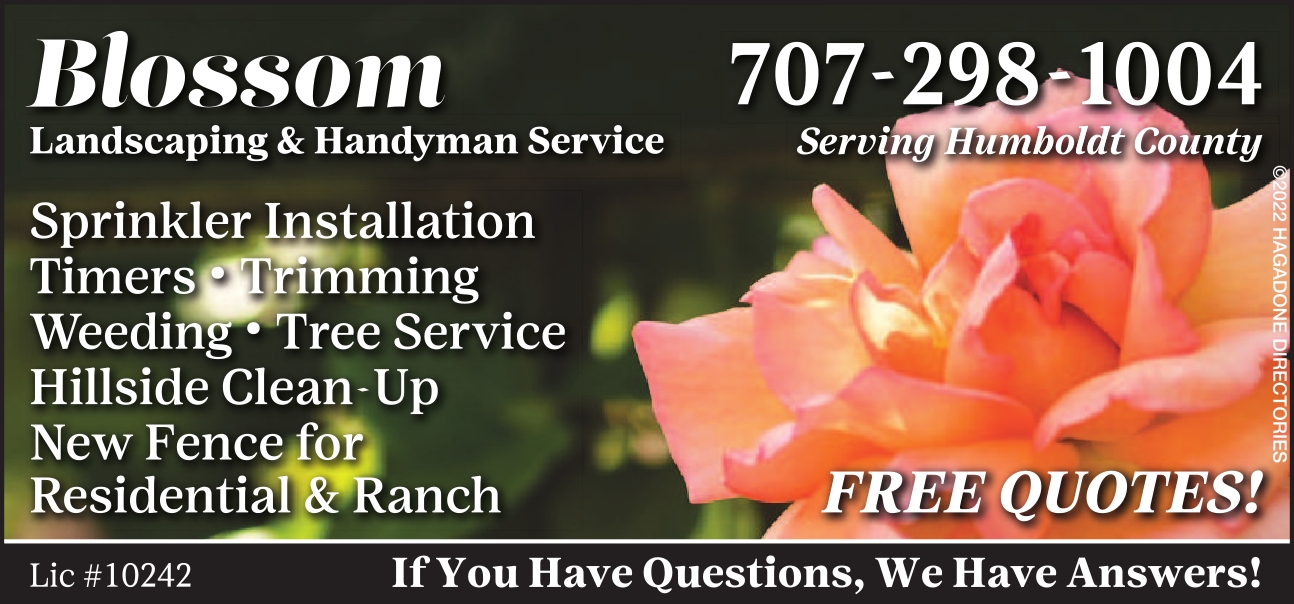 Blossom Landscaping & Handyman Service